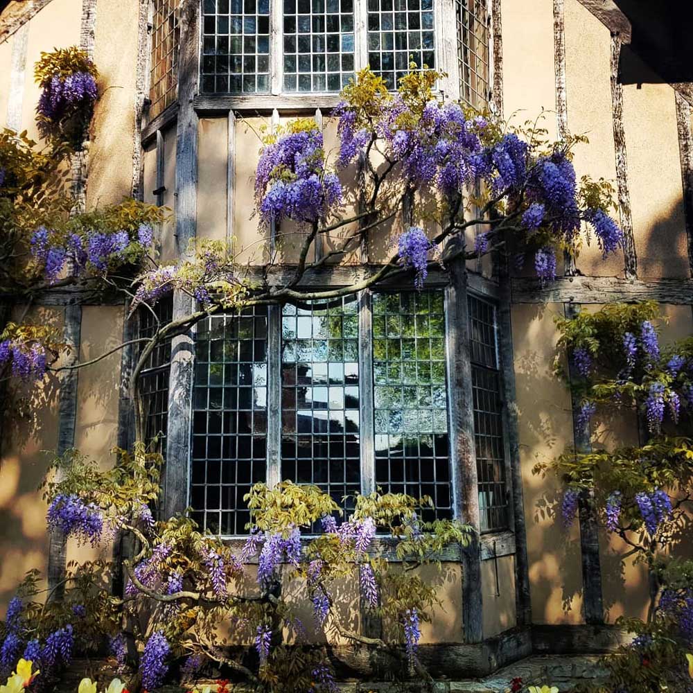 window restoration for historic building